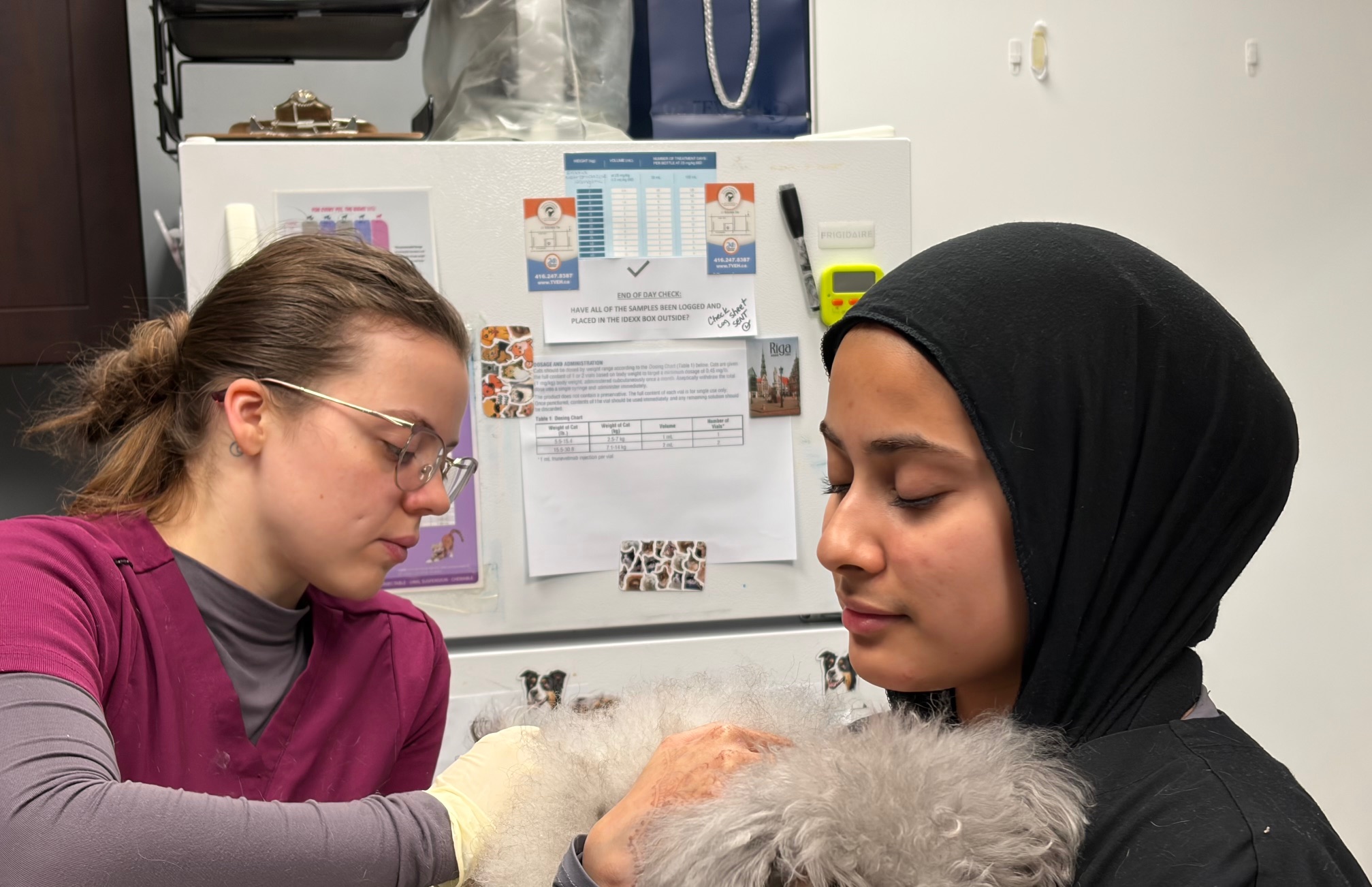 Deworming treatment for pet