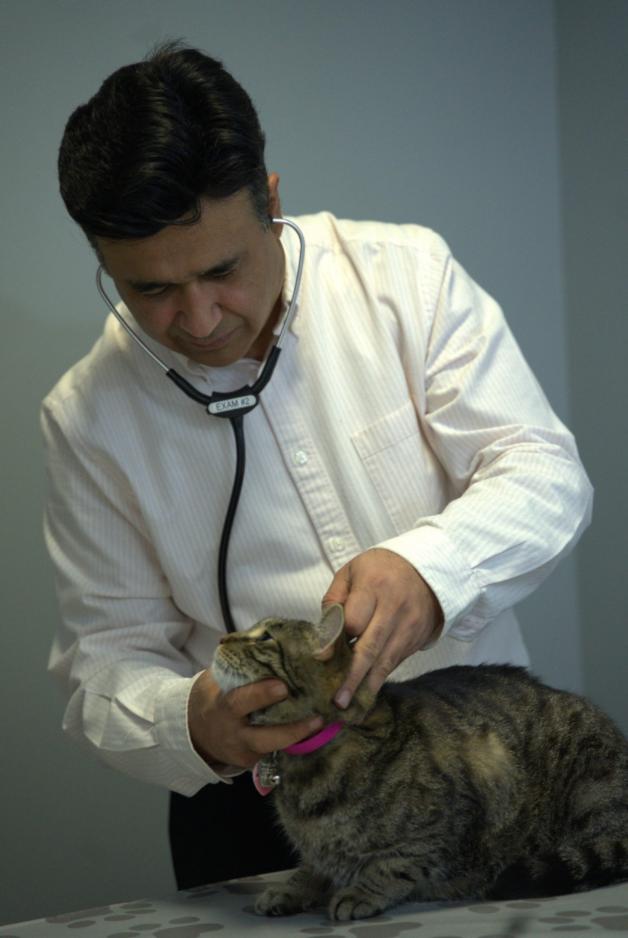 Annual Wellness and Vaccinations