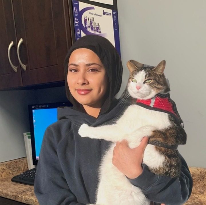 Zainab